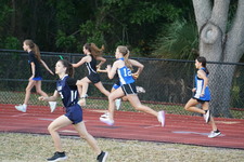 Enlarge photo 260