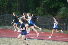 Enlarge photo 262