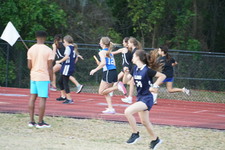 Enlarge photo 263