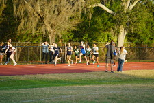 Enlarge photo 281