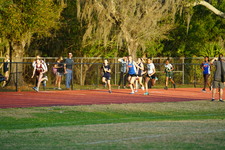 Enlarge photo 284