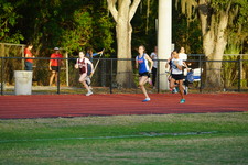 Enlarge photo 291