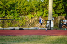 Enlarge photo 295