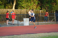 Enlarge photo 347