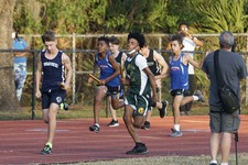 Enlarge photo 359