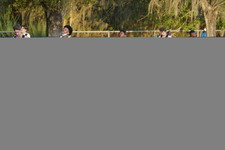 Enlarge photo 411