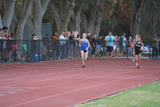 Enlarge photo 379