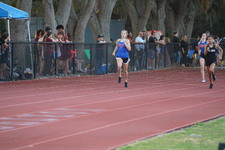 Enlarge photo 381