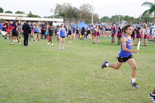 Enlarge photo 410