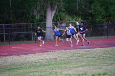 Enlarge photo 441