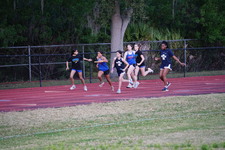 Enlarge photo 442
