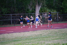 Enlarge photo 443