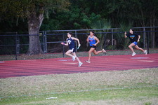 Enlarge photo 447