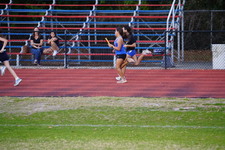 Enlarge photo 455
