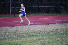 Enlarge photo 478