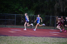 Enlarge photo 483