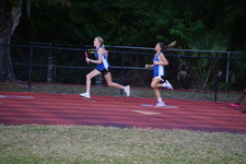 Enlarge photo 484