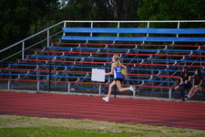 Enlarge photo 491