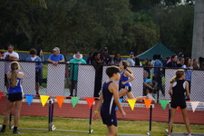 Enlarge photo 527