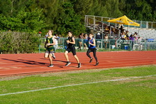 Enlarge photo 129
