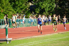 Enlarge photo 134
