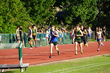 Enlarge photo 137