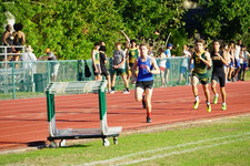 Enlarge photo 139