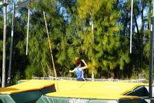 Enlarge photo 151