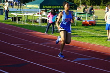 Enlarge photo 204