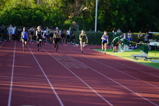 Enlarge photo 203