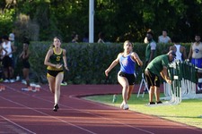 Enlarge photo 205