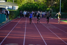 Enlarge photo 208