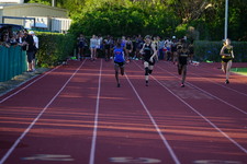 Enlarge photo 209