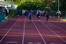Enlarge photo 212