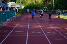 Enlarge photo 213