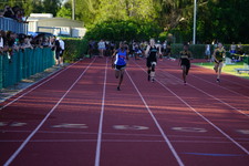 Enlarge photo 214