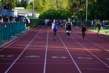 Enlarge photo 215
