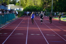 Enlarge photo 217