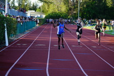 Enlarge photo 223