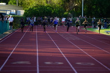 Enlarge photo 230