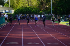 Enlarge photo 231