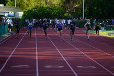 Enlarge photo 232