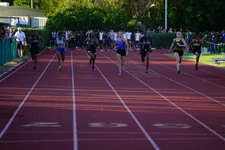 Enlarge photo 233