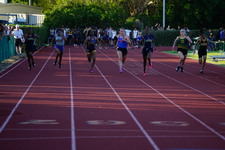 Enlarge photo 235