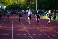 Enlarge photo 239