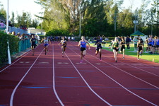 Enlarge photo 240