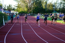 Enlarge photo 242