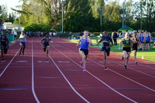 Enlarge photo 245