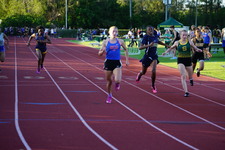 Enlarge photo 244