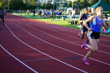Enlarge photo 249